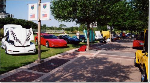 003.A few of the beauties on display.JPG